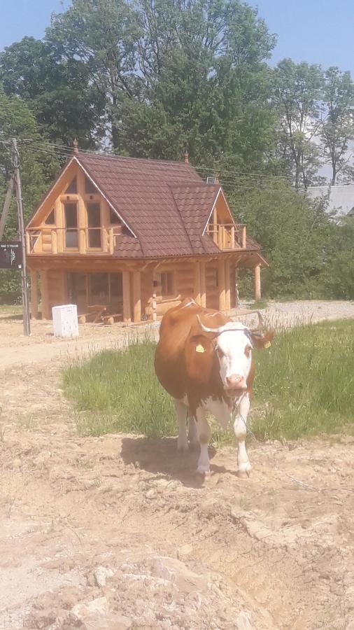 Nad Termami Vila Dzianisz Exterior foto